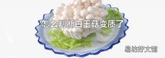 怎么判断白玉菇变质了
