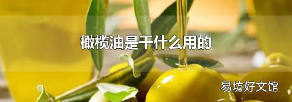橄欖油是干什么用的