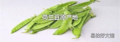 荷兰豆原产地