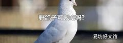 野鸽子可以吃吗?