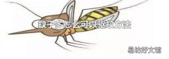 蚊子多怎么可以驱蚊方法