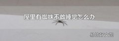 屋里有蜘蛛不敢睡觉怎么办