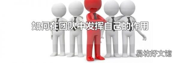 如何在团队中发挥自己的作用