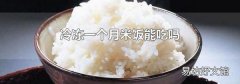 冷冻一个月米饭能吃吗
