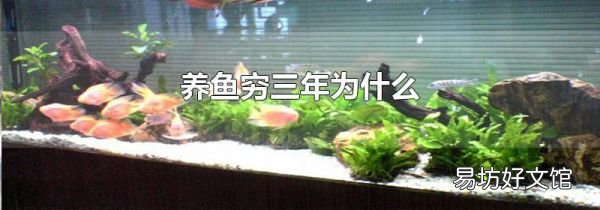 養(yǎng)魚窮三年為什么
