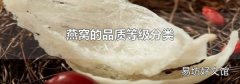 燕窝的品质等级分类