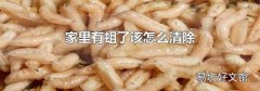家里有蛆了该怎么清除