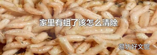 家里有蛆了该怎么清除