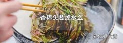 香椿头要焯水么
