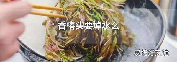 香椿頭要焯水么