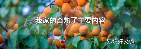 我家的杏熟了主要内容
