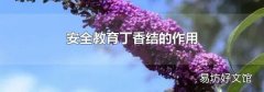安全教育丁香结的作用