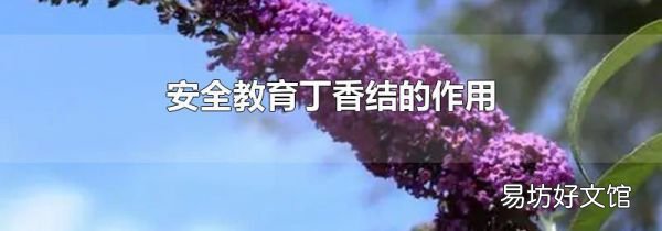 安全教育丁香结的作用