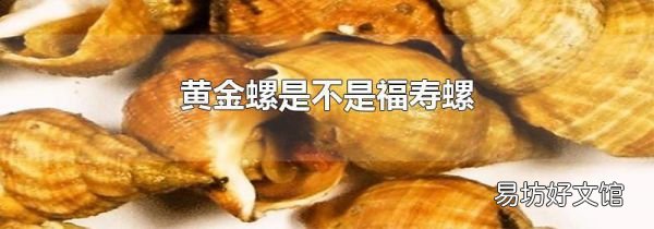 黃金螺是不是福壽螺