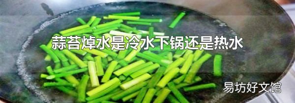 蒜苔焯水是冷水下锅还是热水