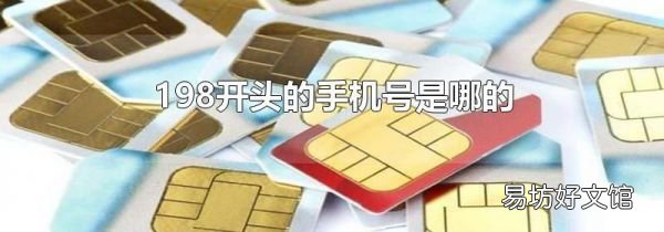 198开头的手机号是哪的