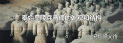 秦始皇陵兵马俑的外观和结构