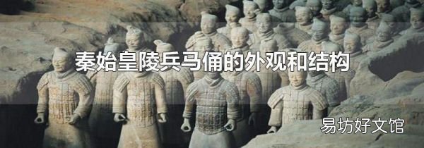 秦始皇陵兵马俑的外观和结构