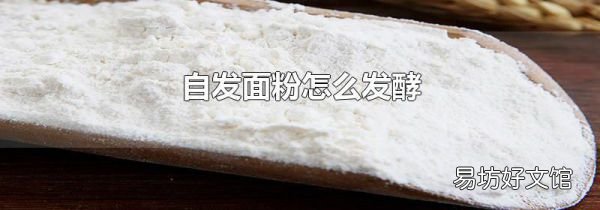 自發(fā)面粉怎么發(fā)酵