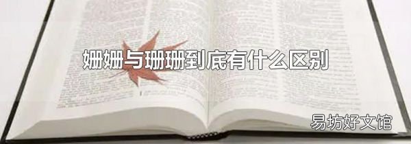 姗姗与珊珊到底有什么区别