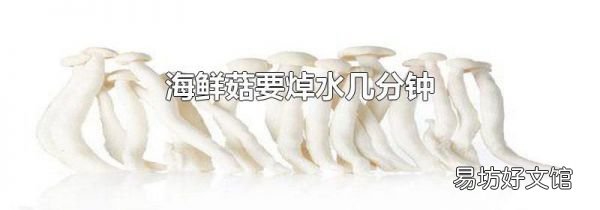 海鲜菇要焯水几分钟