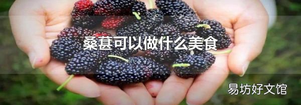 桑葚可以做什么美食
