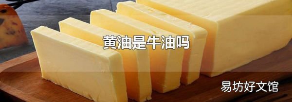 黃油是牛油嗎