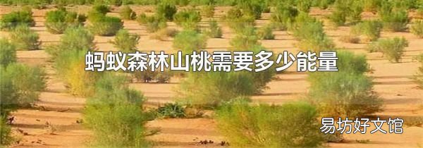 蚂蚁森林山桃需要多少能量