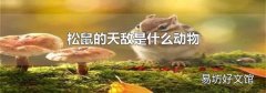 松鼠的天敌是什么动物