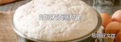 如何发面蒸包子