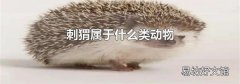 刺猬属于什么类动物