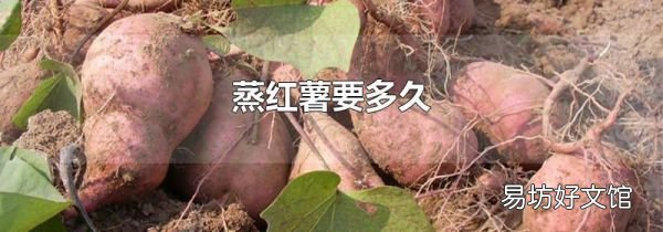 蒸红薯要多久
