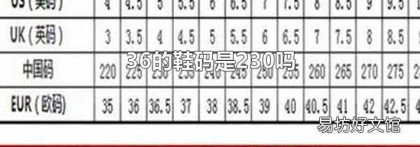 36的鞋碼是230嗎
