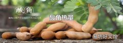 酸角热量