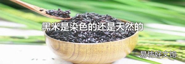 黑米是染色的還是天然的