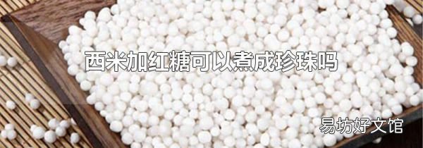 西米加紅糖可以煮成珍珠嗎