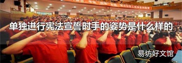 单独进行宪法宣誓时手的姿势是什么样的