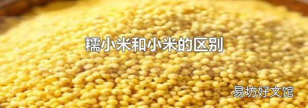 糯小米和小米的區(qū)別