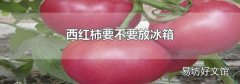 西红柿要不要放冰箱