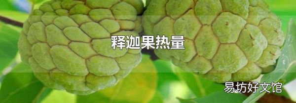 釋迦果熱量