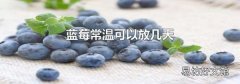 蓝莓常温可以放几天