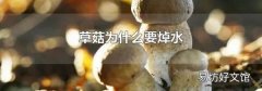 草菇为什么要焯水