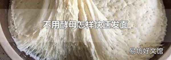 不用酵母怎樣快速發(fā)面