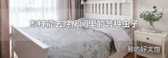 怎样能去除房间里的各种虫子