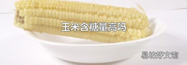 玉米含糖量高嗎