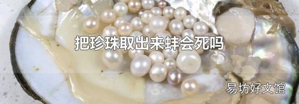 把珍珠取出来蚌会死吗