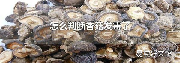 怎么判断香菇发霉了