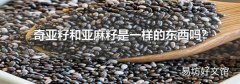 奇亚籽和亚麻籽是一样的东西吗?