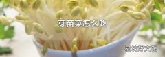 芽苗菜怎么吃