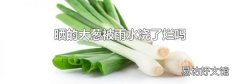 晒的大葱被雨水浇了烂吗
